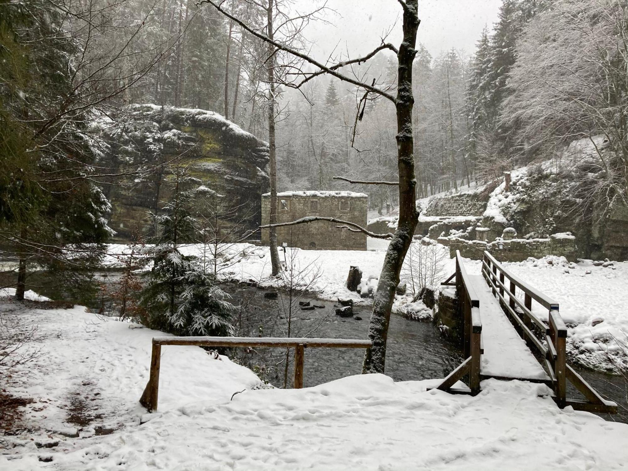 Pension Hofberg Jetřichovice Exterior foto